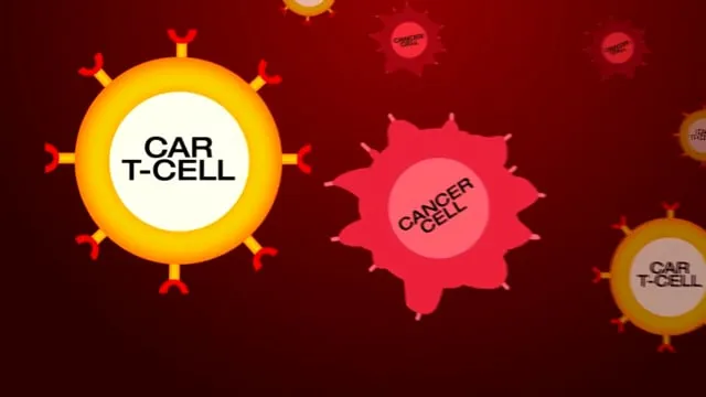 CarTCell Cancer Animation