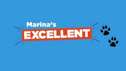 Marina's Excellent Dog Adventure