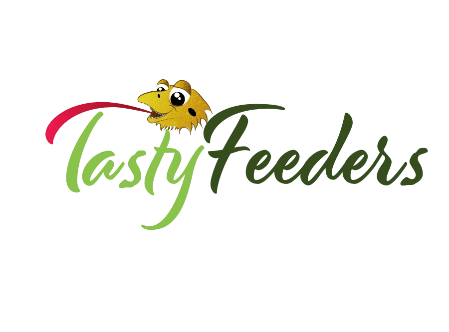 Tasty Feeders